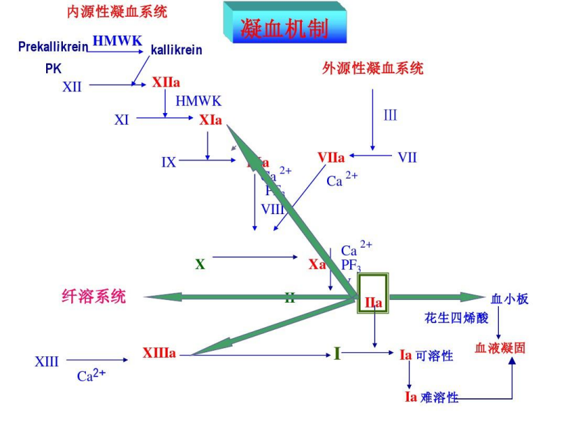 凝血诊断原料 - 深圳雅为世纪科技有限公司